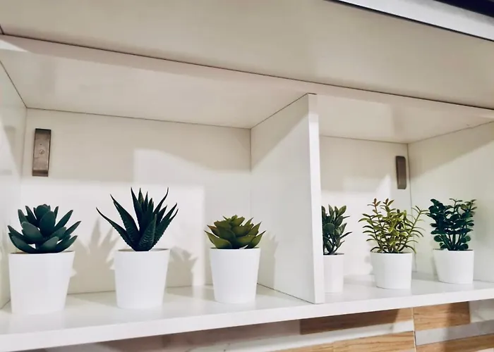 St. Peter's Stone * Roma